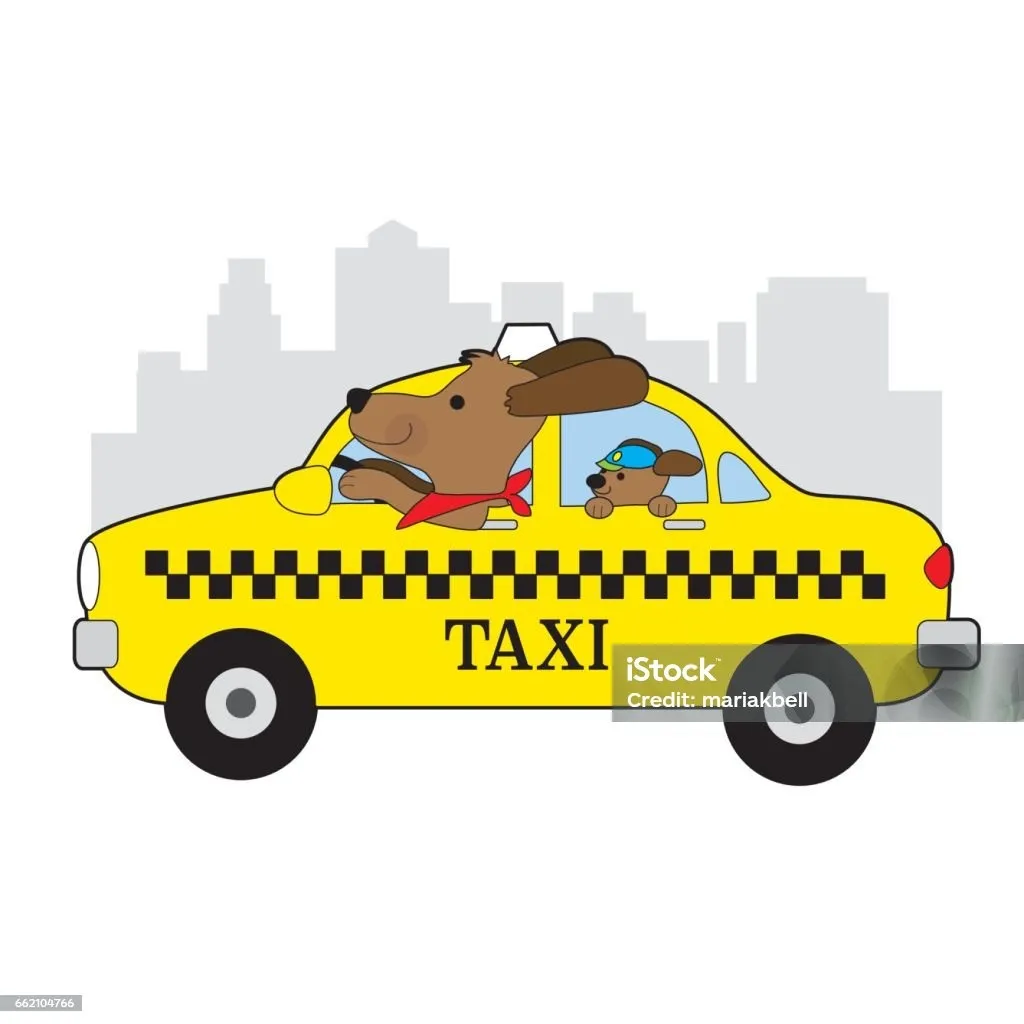 🚚「宅配のプロ」から「ペットの守り人」へ――そして未来は?🐶✨