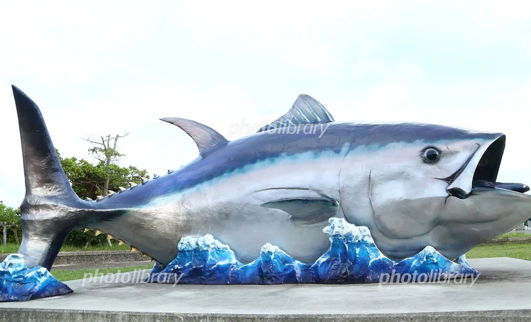 MTトランスポート釣りクラブ 第二回目釣果報告 🛥️🎣🐟