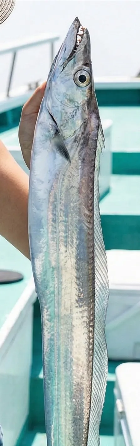 🍛【衝撃】体液がカレースープの男・仲山、ついに「伝説の武器」を手に入れました⚔️